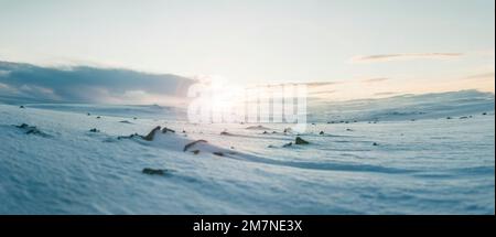 Panorama, paesaggio di neve con montagne innevate in Norvegia, panorama del deserto di neve a Capo Nord (Magerøya), paesaggio di neve e ghiaccio in Scandinavia Foto Stock