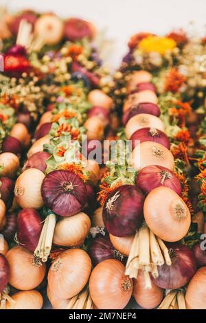 Colorazione delle trecce di cipolla, Zibelemärit tradizionale, mercato della cipolla a Berna, Svizzera, cipolle commestibili (Allium cepa), primo piano, treccia di cipolla Foto Stock