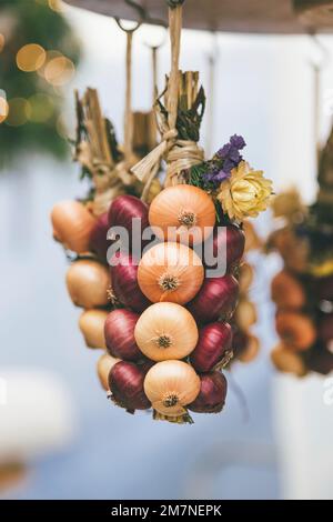 Trecce di cipolle appese a filo, Zibelemärit tradizionale, mercato della cipolla a Berna, Svizzera, cipolle commestibili (Allium cepa), primo piano, treccia di cipolle Foto Stock