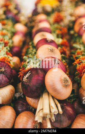 Colorazione delle trecce di cipolla, Zibelemärit tradizionale, mercato della cipolla a Berna, Svizzera, cipolle commestibili (Allium cepa), primo piano, treccia di cipolla Foto Stock