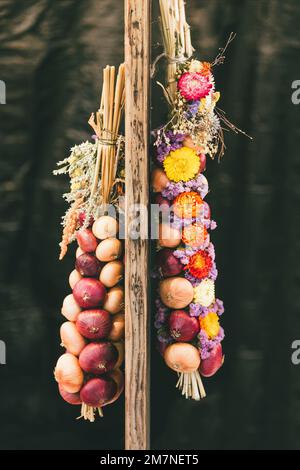 Due trecce di cipolla appese su travi di legno, Zibelemärit tradizionale, mercato della cipolla a Berna, Svizzera, cipolle commestibili (Allium cepa), primo piano, treccia di cipolla Foto Stock