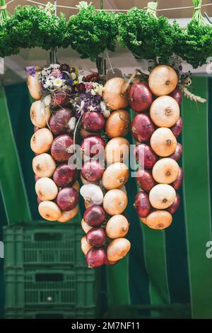 Tre trecce di cipolle appese, Zibelemärit tradizionale, mercato della cipolla a Berna, Svizzera, cipolle commestibili (Allium cepa), primo piano, treccia di cipolle Foto Stock