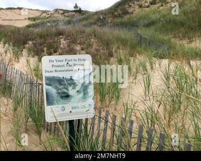 Progetto di restauro delle dune di sabbia nel Michigan lungo la costa del lago Michigan, a sud della città di South Haven. Ufficio dei grandi Laghi Foto Stock