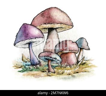 Gruppo di funghi con colori pastello. Acquerello tradizionale e illustrazione a inchiostro su carta. Foto Stock