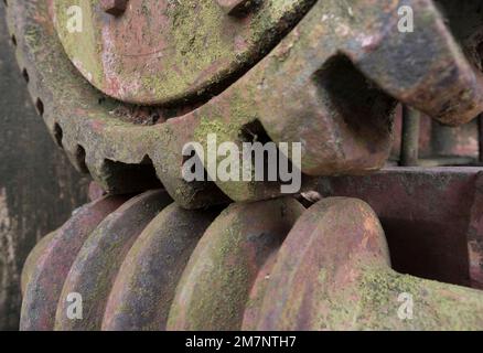 ingranaggi a vite senza fine di una macchina storica Foto Stock