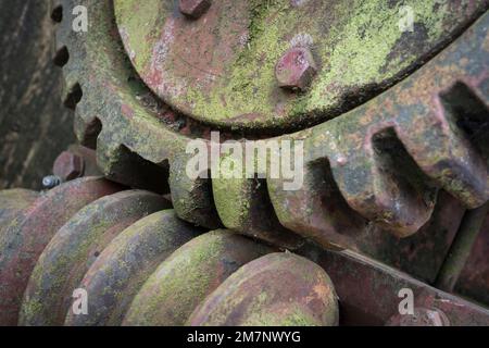 ingranaggi a vite senza fine di una macchina storica Foto Stock