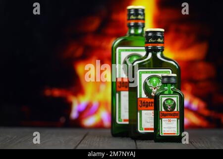 KIEV, UCRAINA - 4 MAGGIO 2022 Jagermeister bottiglia di alcol originale su tavolo di legno con camino rosso sullo sfondo. Produzione di alcool Elite Foto Stock
