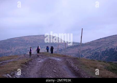 CARPAZI MONTAGNE, UCRAINA - 8 OTTOBRE 2022 Monte Dragobrat. Carpazi in Ucraina in nebbia giorno d'autunno. I turisti camminano attraverso le colline per salire fino alla cima del monte Dragobrat Foto Stock