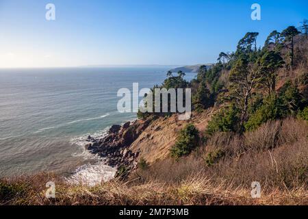 Europa, Regno Unito, Inghilterra, Devon, vicino Kingswear, Costa vicino alla Warren e Terranova Cove Foto Stock