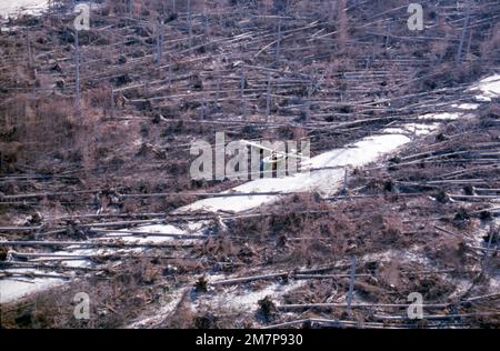 Un elicottero H-1 Huey vola sopra gli alberi che furono soffiato dalla forza dell'esplosione quando il vulcano eruttò il 18 maggio 1980 a Mt. Saint Helens, Washington. Data esatta dell'acquisizione sconosciuta. Paese: Sconosciuto Foto Stock