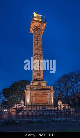 La colonna di Alnwick Tenantry è illuminata al crepuscolo, Alnwick, Northumberland, Inghilterra, Regno Unito Foto Stock