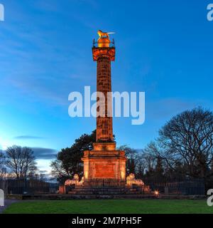 La colonna di Alnwick Tenantry è illuminata al crepuscolo, Alnwick, Northumberland, Inghilterra, Regno Unito Foto Stock