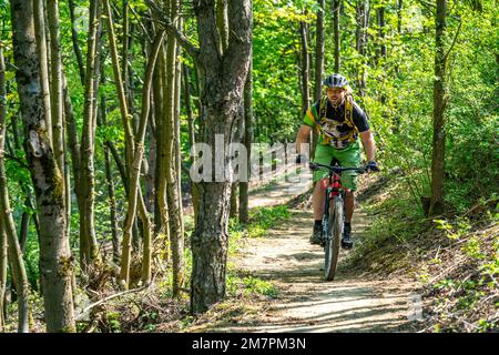 Brammentrail, sentiero per mountain bike sul cumulo di scorie di Schurenbach, a Essen NRW, Germania, Foto Stock