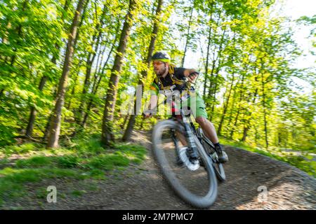 Brammentrail, sentiero per mountain bike sul cumulo di scorie di Schurenbach, a Essen NRW, Germania, Foto Stock