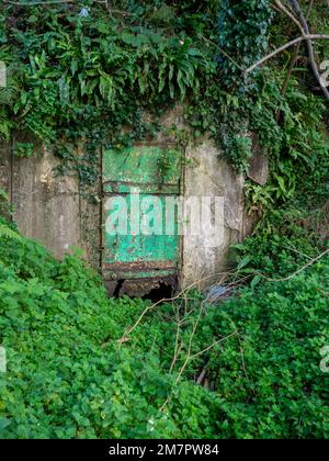 Vecchia porta arrugginita rotta ad una stanza in cemento. La porta al booker. Verde vecchia porta coltivata con piante. Foto Stock