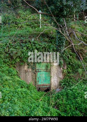 Vecchia porta arrugginita rotta ad una stanza in cemento. La porta al booker. Verde vecchia porta coltivata con piante. Foto Stock