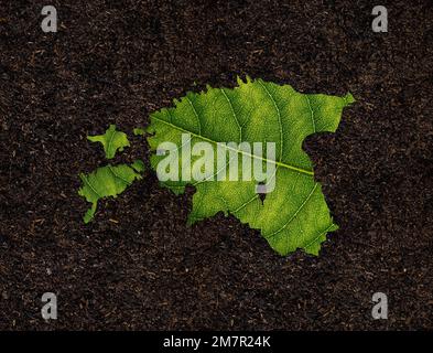 La mappa dell'Estonia fatta di foglie verdi su uno sfondo del suolo, concetto di ecologia Foto Stock