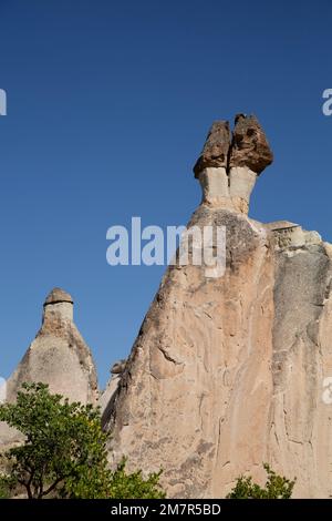 Chimneys delle fate, Valle di Pasabag (Valle dei Monaci), Provincia di Nevsehir, Regione della Cappadocia, Turchia Foto Stock