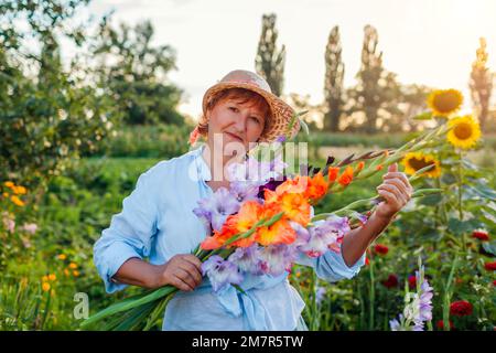 Ritratto di giardiniere che tiene fiori freschi di gladiolo raccolti in giardino estivo. Donna anziana ha selezionato i fiori Foto Stock