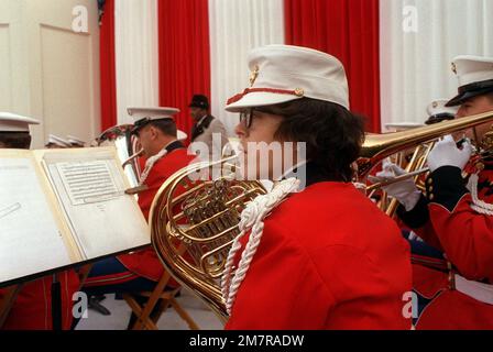 Una delle 21 donne membri della Marine Band, 'il presidente del proprio', attende di suonare la sua parte della musica negli Stati Uniti Capitol il giorno di inaugurazione. Base: Washington Stato: District of Columbia (DC) Nazione: Stati Uniti d'America (USA) Foto Stock