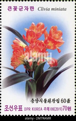 2019 francobollo nordcoreano per commemorare il 60° anniversario dei Giardini Botanici centrali, con fiori Clivia miniata arancioni. Foto Stock
