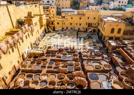 Famosa conceria della pelle a Fes, Marocco, Nord Africa Foto Stock