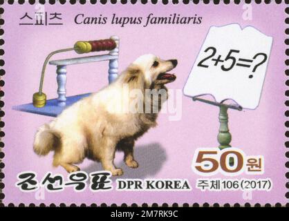 2017 Nord Corea stam set. ZOO centrale di Pyongyang. Acrobazie animali. Cane, canis familiaris Foto Stock