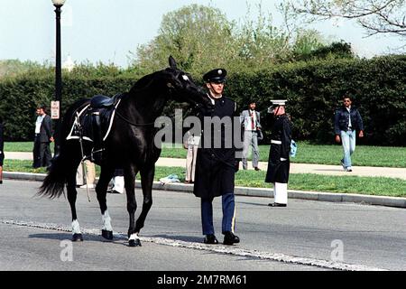 Un cavallo senza rivali e il suo handler Walk dietro il caissone porta il corpo di cinque stelle in pensione GEN Omar N. Bradley, USA, durante la sua processione funeraria. Base: Arlington Stato: Virginia (VA) Nazione: Stati Uniti d'America (USA) Foto Stock