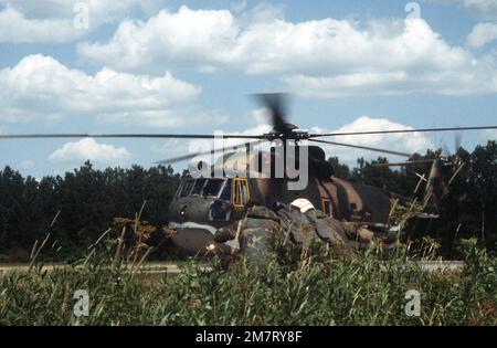 I membri del 106th Aerospace Rescue and Recovery Group trasferiscono un 'vivor', a bordo di un elicottero Pelican HH-3 durante Sentry Castle '81, un esercizio di ricerca e salvataggio. Soggetto operativo/Serie: SENTRY CASTLE '81 base: Seneca Stato: New York (NY) Paese: Stati Uniti d'America (USA) Foto Stock