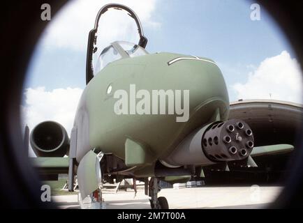 Vista frontale ravvicinata di un velivolo Thunderbolt II a-10 con una pistola Gattling GAU-8A. Base: RAF Bentwaters Paese: Inghilterra / Gran Bretagna (ENG) Foto Stock