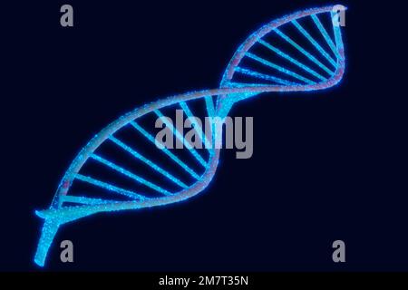 3D illustrazione composti di fosfato, citosina, timina, adenina, guanina, Nucleotidi della catena del DNA umano Foto Stock