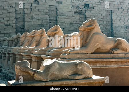 All'ingresso del Tempio di Karnak il viale delle Sfinge, statue con la testa di un RAM e il corpo di un Leone, antiche icone egiziane e simboli a. Foto Stock