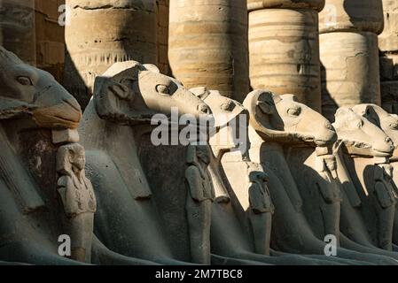 All'ingresso del Tempio di Karnak il viale delle Sfinge, statue con la testa di un RAM e il corpo di un Leone, antiche icone egiziane e simboli a. Foto Stock