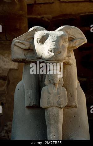 All'ingresso del Tempio di Karnak il viale delle Sfinge, statue con la testa di un RAM e il corpo di un Leone, antiche icone egiziane e simboli a. Foto Stock