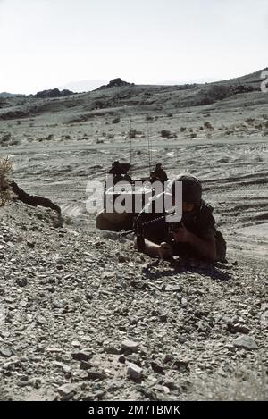 LCPL Davis, pronto per il combattimento, e altri membri della sua squadra antincendio della Co.. A, 1st BN., 8th Marines, hanno appena lasciato un veicolo di atterraggio cingolato LVTP-7 e sono in posizione prona, armati di fucili M-16A1, sulla cresta di una collina. I Marines partecipano all'operazione CAX 1-2-82 presso il Marine Corps Air-to-Ground Combat Center. Soggetto operativo/Serie: CAX 1-2-82 base: Twentynine Palms Stato: California (CA) Paese: Stati Uniti d'America (USA) Foto Stock