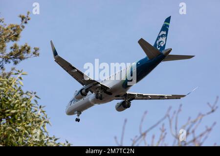 SeaTac, Washington, Stati Uniti. 10th gennaio 2023. Un Alaska Airlines Embraer 175 arriva per un atterraggio all'aeroporto internazionale di Seattle-Tacoma. Credit: Paul Christian Gordon/Alamy Live News Foto Stock