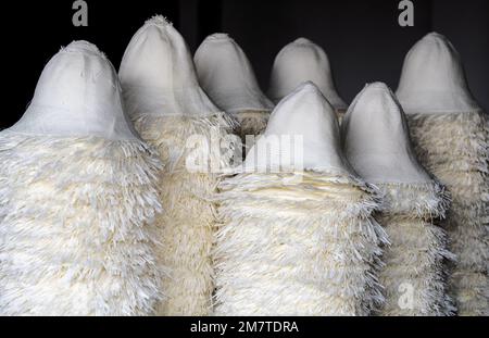 L'essiccazione di cappelli di Panama in un sito di produzione, Cuenca, Ecuador. Foto Stock