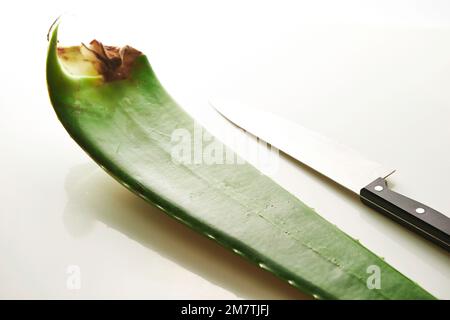 Aloe vera e coltello su sfondo bianco Foto Stock