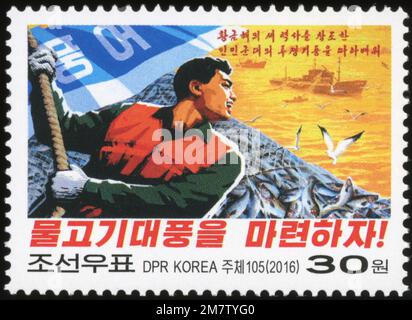 2016 Set di timbri per la Corea del Nord. Propaganda poster. Industria della pesca Foto Stock