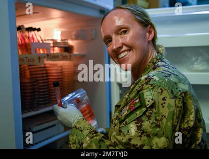 CMdR Lt. Rebecca Pavlicek, Stati Uniti Naval Medical Research Unit – 3 Direttore distaccato del laboratorio di microbiologia di Camp Lemonnier, Gibuti, lavora alla preparazione e alla manutenzione degli esami di laboratorio e dei terreni necessari per essere pronti a identificare qualsiasi patogeno che possa infettare i nostri membri del servizio. Pavlicek è l'unico microbiologo che serve a CLDJ e fornisce un supporto critico a Camp Lemonnier, Combined Joint Task Force – Horn of Africa (CJTF-HOA), Stati Uniti Ambasciata a Gibuti e militari statunitensi in tutta l'Africa orientale. Sostiene anche il Ministero della Salute di Gibuti. Foto Stock