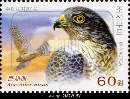 2014 francobollo della Corea del Nord con lo sparrowhawk eurasiatico (Accipiter nisus), parte di un'emissione congiunta di Birds of Prey con la Russia. Foto Stock