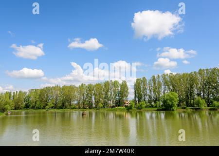 Piccolo lago con un mulino a legna e un'isola dal Parco Chindiei (Parcul Chindiei) a Targoviste, Romania, in una soleggiata giornata primaverile con nuvole bianche e blu Foto Stock