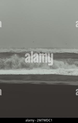 Spiaggia di sabbia scura in un giorno tempestoso foto di paesaggio monocromatico Foto Stock