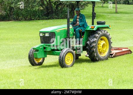 Lavoratore o dipendente africano che falciano un vasto prato seduto su un trattore John Deere giallo e verde in Sudafrica Foto Stock