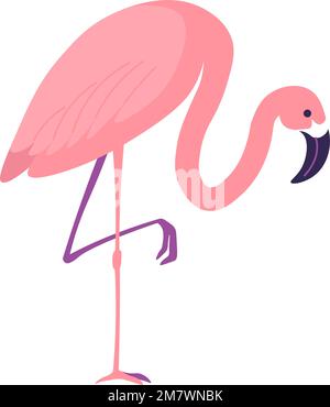 Animali Tropici e fauna, vettore di uccelli fenicotteri Illustrazione Vettoriale