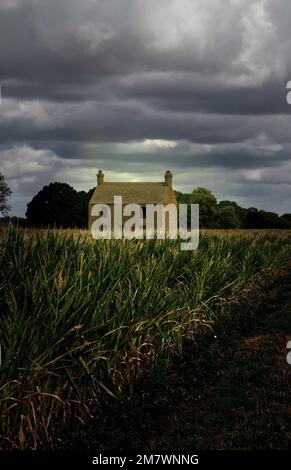 Derelict abbandonato casa vuota, solo nei campi, spooky misterioso stile di copertina del libro. Foto Stock