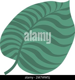 Foglia tropicale di monstera pianta, fogliame esotico Illustrazione Vettoriale
