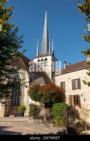 Les Riceys (Francia nord-orientale): Il villaggio è composto da tre villaggi, Riceys-Bas, Riceys Haute-Rive e Riceys-Haut nella valle del Laigne Foto Stock