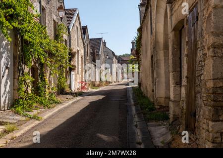 Les Riceys (Francia nord-orientale): Il villaggio è composto da tre villaggi, Riceys-Bas, Riceys Haute-Rive e Riceys-Haut nella valle del Laigne Foto Stock