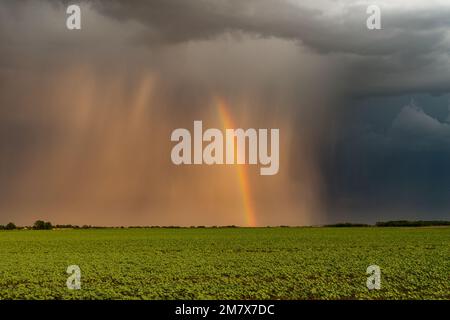 Downburst con arcobaleno prima del tramonto 1 Foto Stock